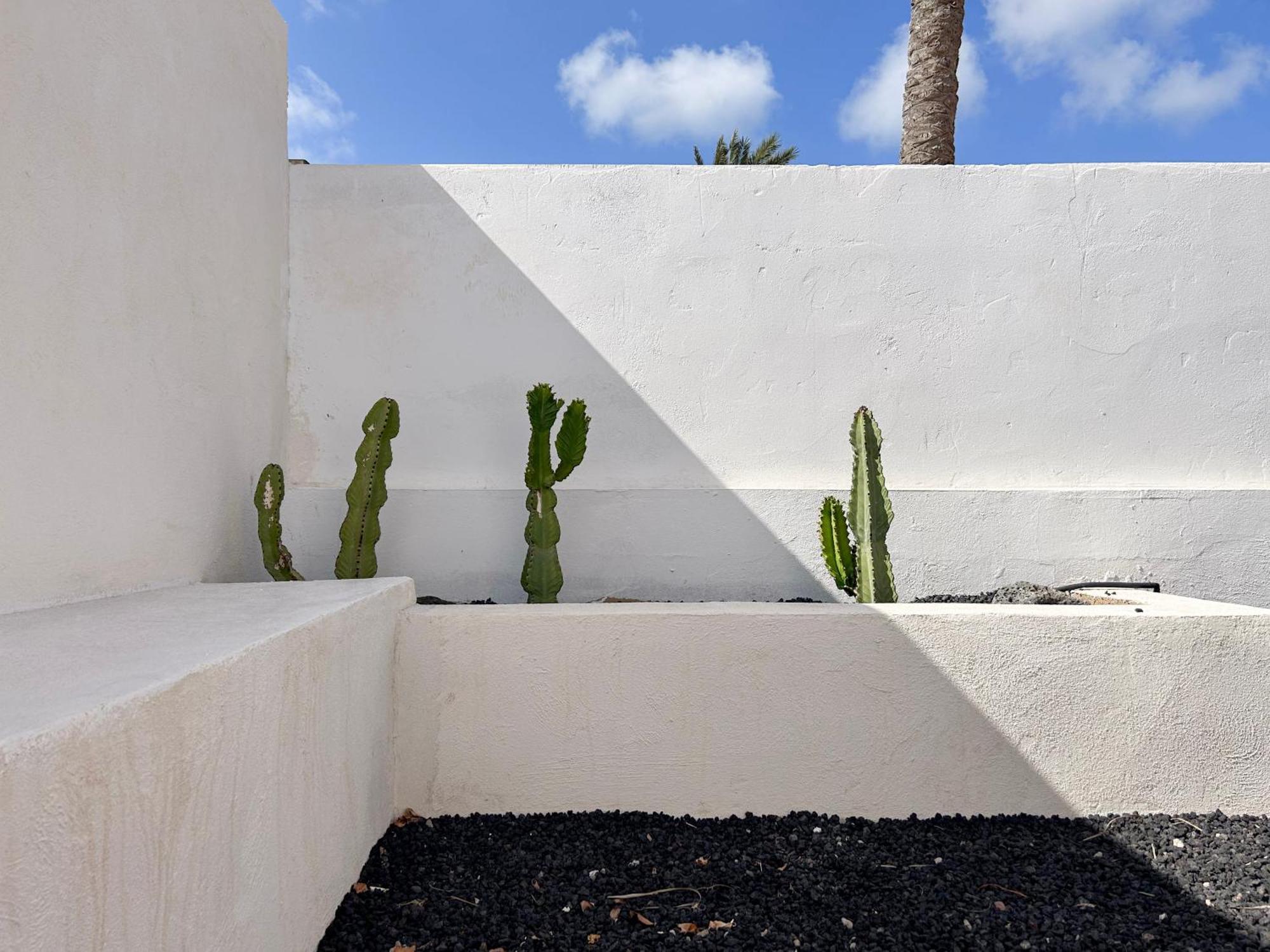 House Boho Palm With Private Heated Pool And Garden, 3 Bedrooms, Wi-Fi Corralejo Eksteriør bilde